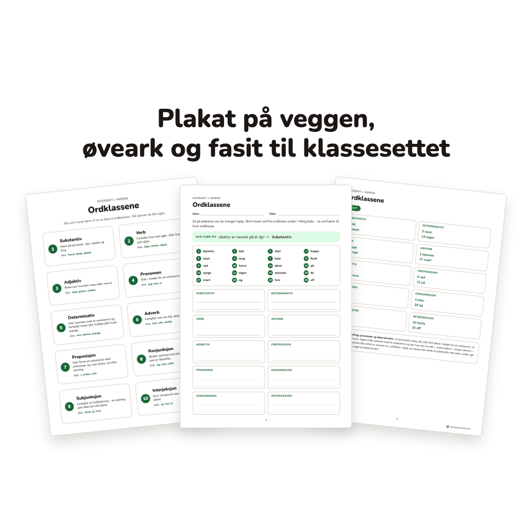 Ordklassene – oversiktsplakat og øveark – bilde 2