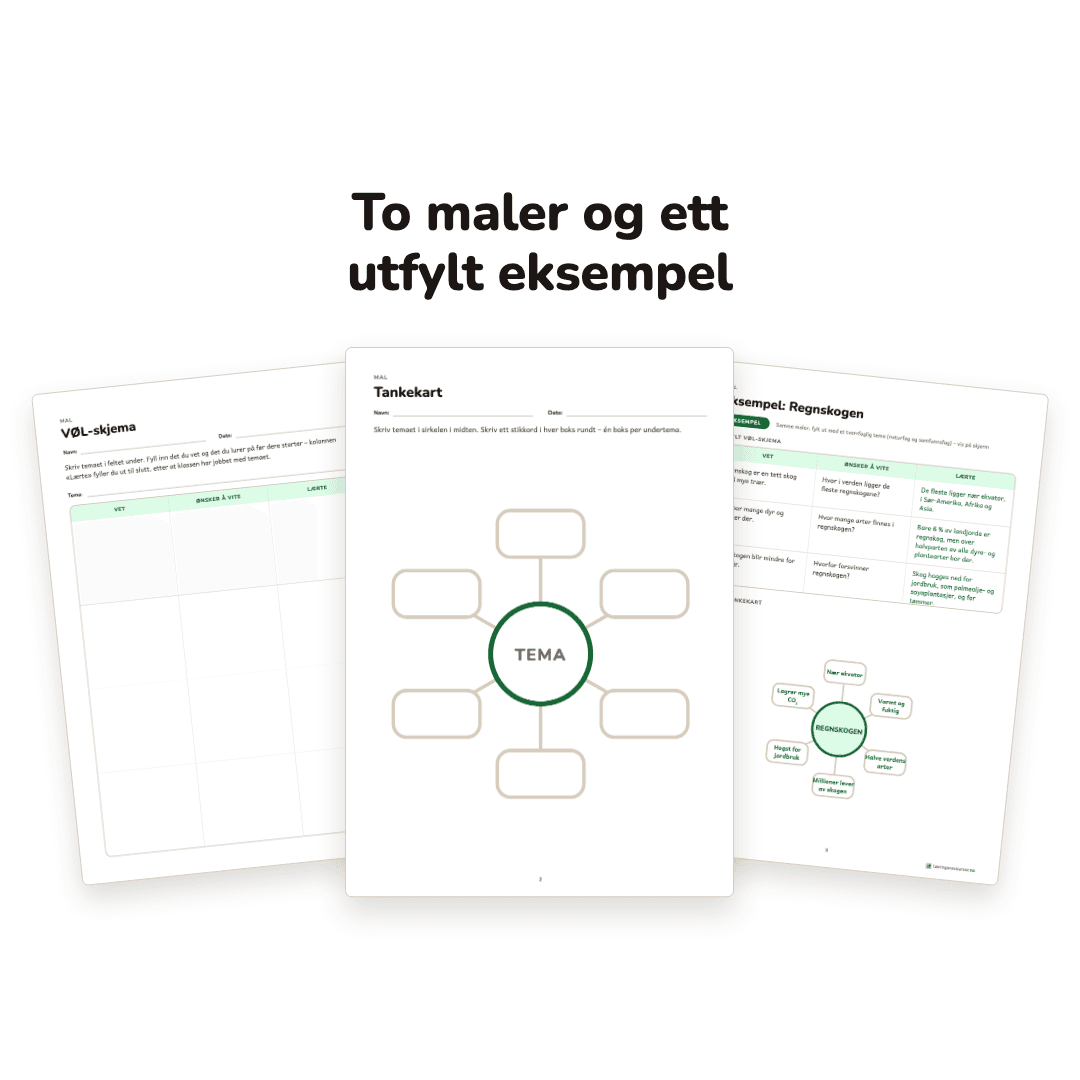 Tankekart og VØL-skjema – malark – bilde 2